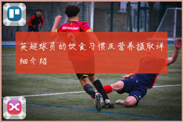 英超球员的饮食习惯及营养摄取详细介绍