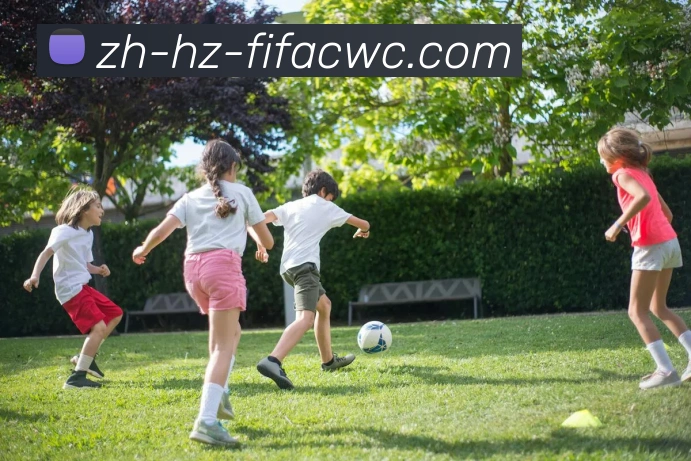 世界杯在线观看平台生态图