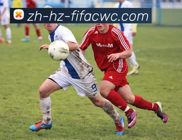 世界杯在线观看APP 封面图